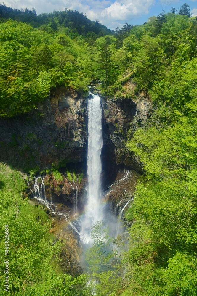 奥日光 華厳の滝 夏景色 奥日光 華厳の滝 夏景色