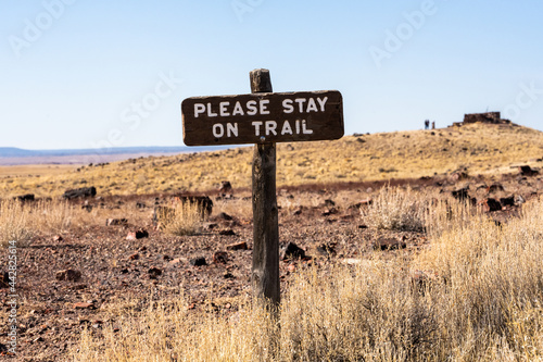 Please Stay On Trail Sign Surrounded By Petrified Wood