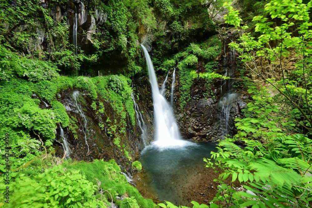 Obraz premium 日光 裏見の滝 夏景