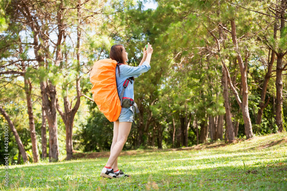 Hiker with backpack relaxing young woman hiking holiday, wild adventure.