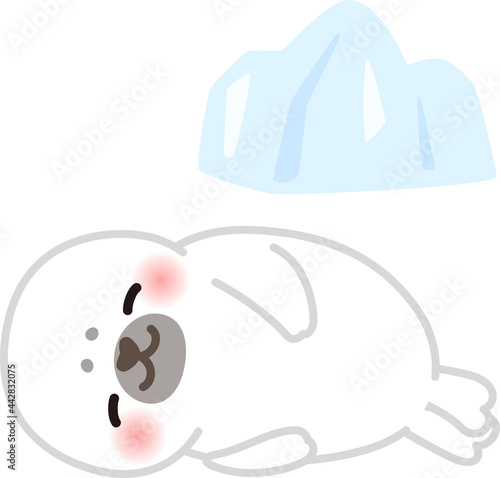 寝転がっている白いアザラシの子供