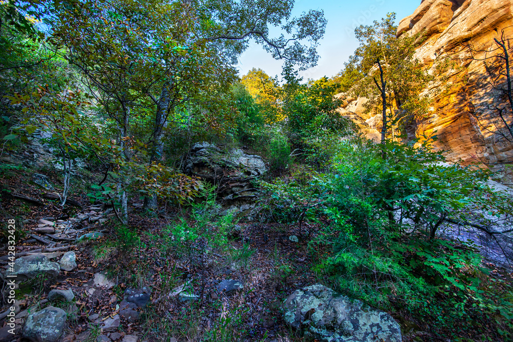 view up a shaded rocky, brush covered slope through a canyon beside a towering, sunlit cliff face beneath a blue sky, shawnee National Forest Illinois view up a shaded rocky, brush covered slope through a canyon beside a towering, sunlit cliff face beneath a blue sky, shawnee National Forest Illinois