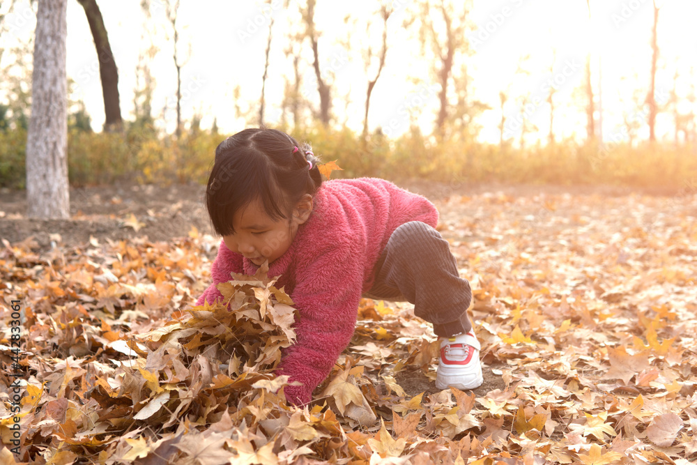 Child outdoors hugs fallen leaves on the ground Child outdoors hugs fallen leaves on the ground