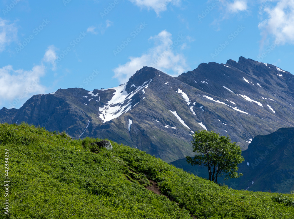Obraz premium snowi mountains and green hills