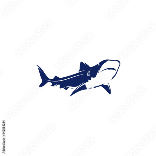 Shark vector illustration isolated on white background. Abstract, simple, and elegant