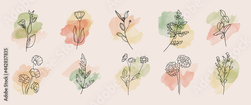 Minimal botanical hand drawing design for logo and wedding invitation. Floral line art.  Flower and leaves on watercolour background design collection for bouquets decoration, invite, packaging design