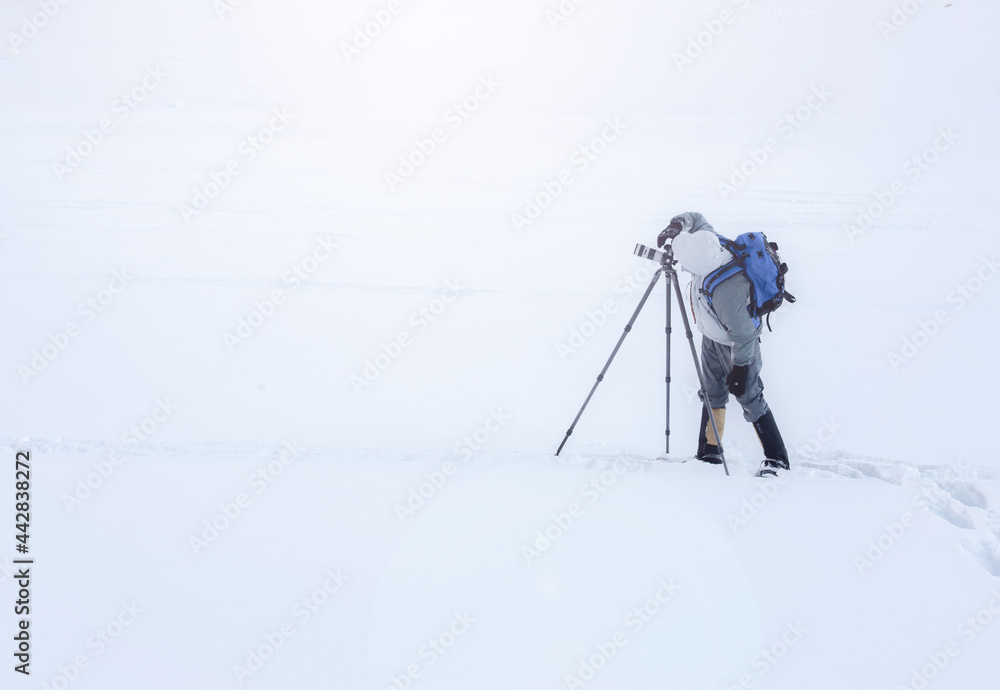 Photographer in action alone in the snow. Antarctica south pole. Perseverance passion freedom adventure concept