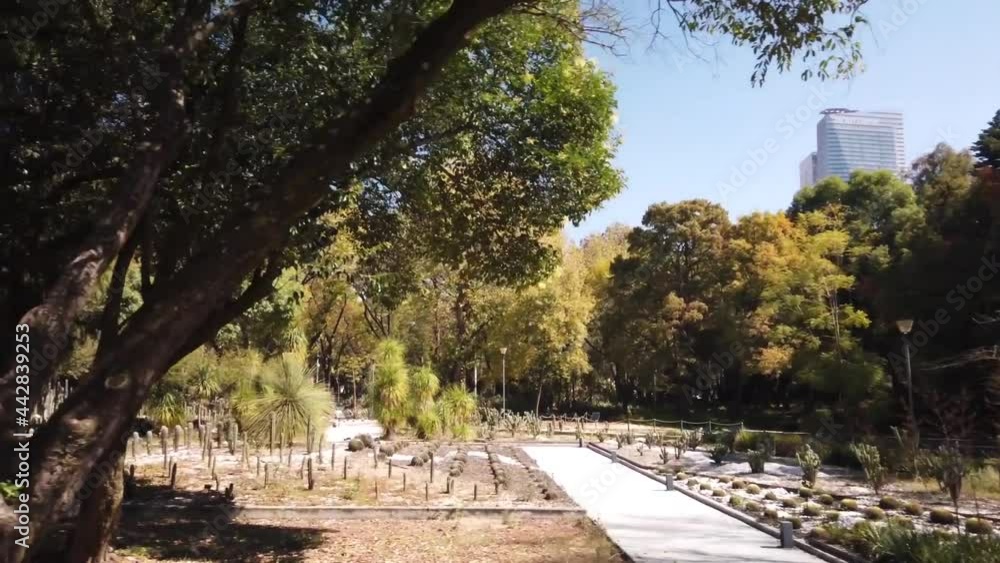 Riding through the park on a bike with an avenue of trees and urban landscaping scene Riding through the park on a bike with an avenue of trees and urban landscaping scene
