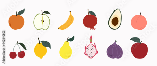 Set of colorful fruit icons vector. Hand drawn of banana, apple, pear, orange, peach, plum, watermelon, pineapple, papaya, grapes, cherry, lemon. Vector illustration, isolated on white.