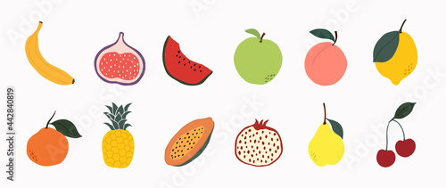 Set of colorful fruit icons vector. Hand drawn of banana, apple, pear, orange, peach, plum, watermelon, pineapple, papaya, grapes, cherry, lemon. Vector illustration, isolated on white.