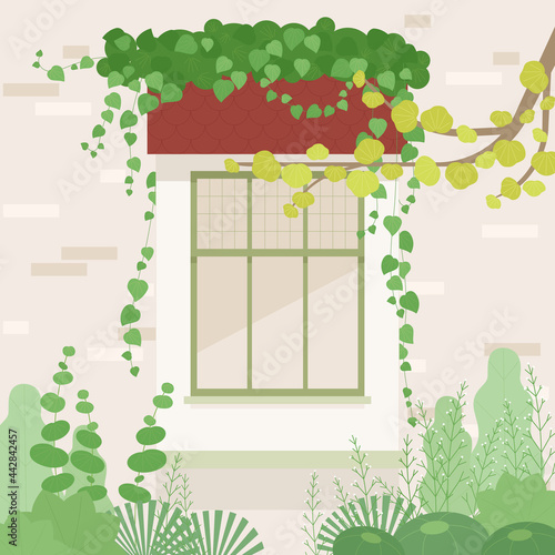 I see a window in the garden. There is an ivy on the window.
