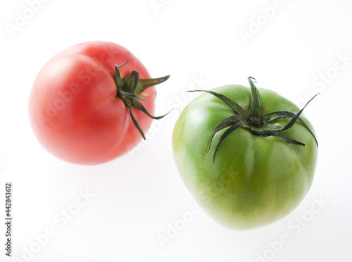 Wallpaper Mural 　カラフルなトマト　イメージ　白バック Torontodigital.ca