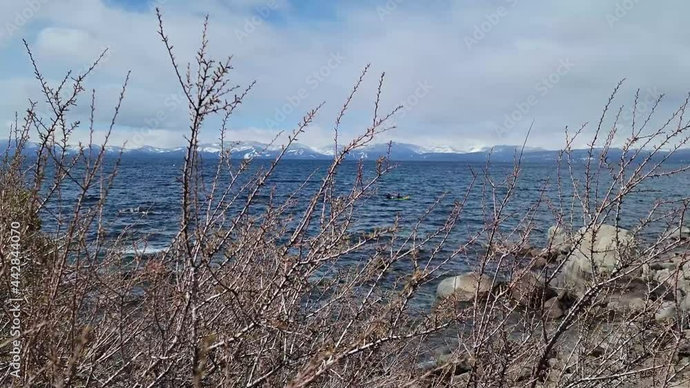 Kayaking in lake tahoe with dry shrub in the foreground
Kayaking in lake tahoe with dry shrub in the foreground