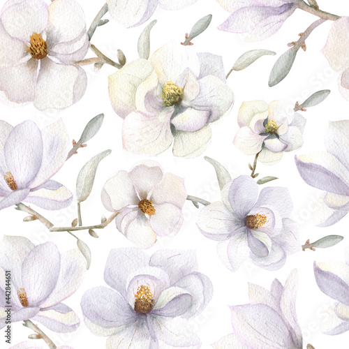 Seamless patterns with magnolia flowers in boho style on a white isolated background. Watercolor illustration