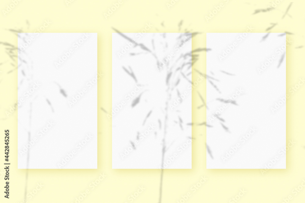 Natural light casts shadows from the plant on 3 vertical sheets of white textured paper format, lying on a yellow textured background. Mockup