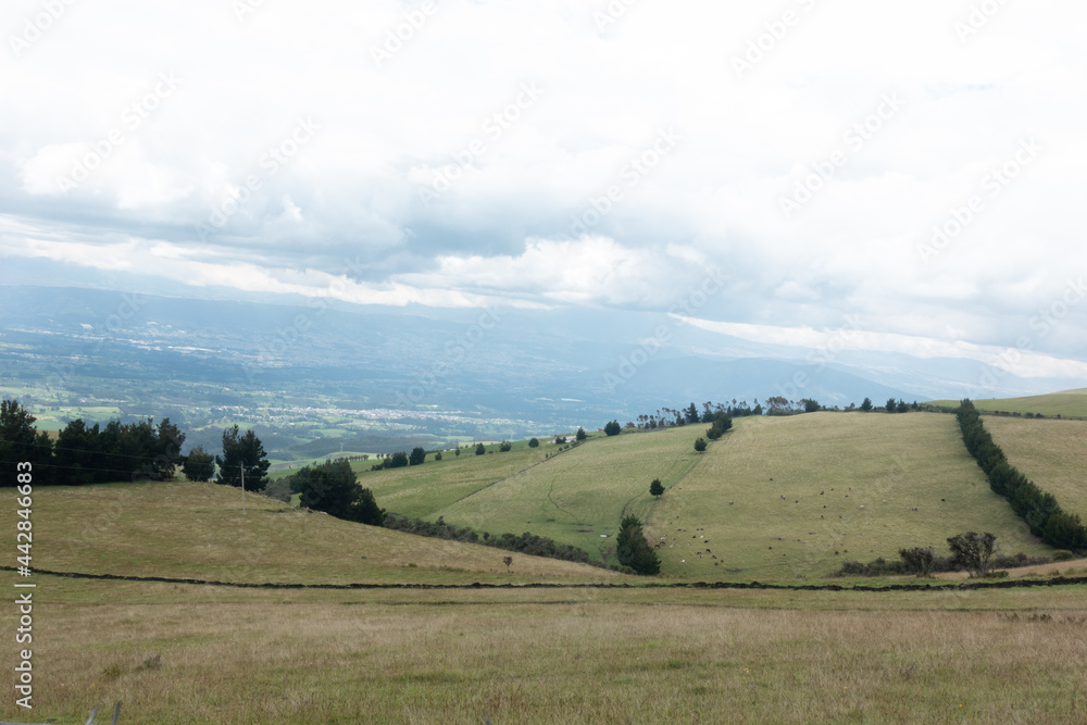 Fototapeta premium landscape with trees and hills