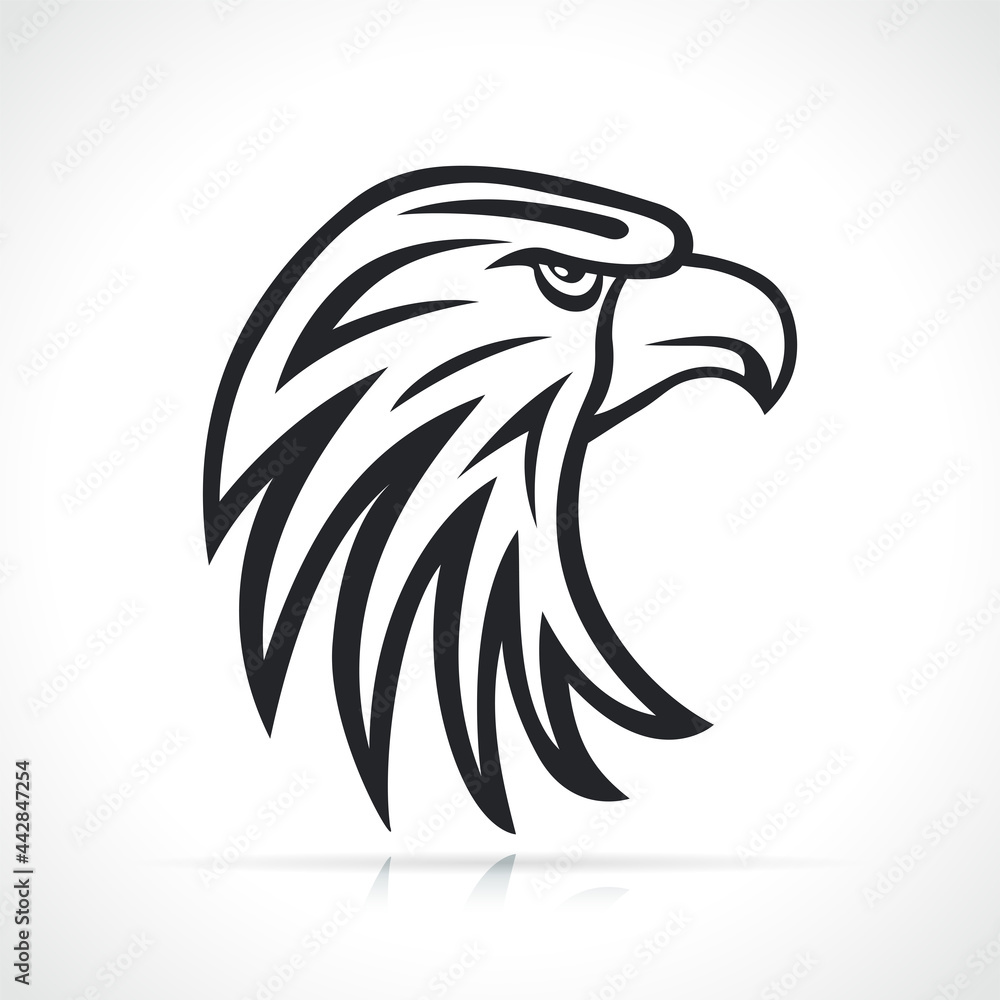 Obraz premium eagle head black and white