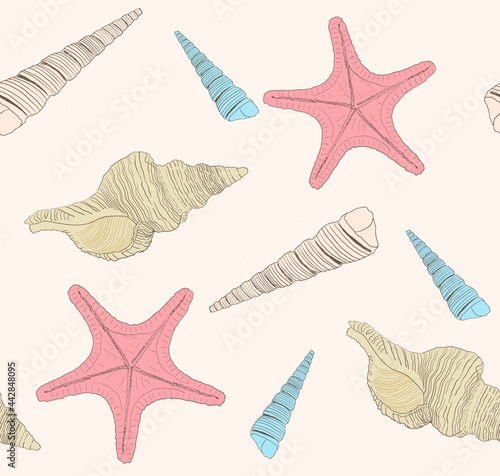 Marine pattern with seashells and starfish. Vector illustration