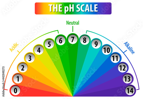 A pH scale on white background