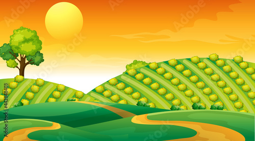 Blank meadow landscape scene at sunset time