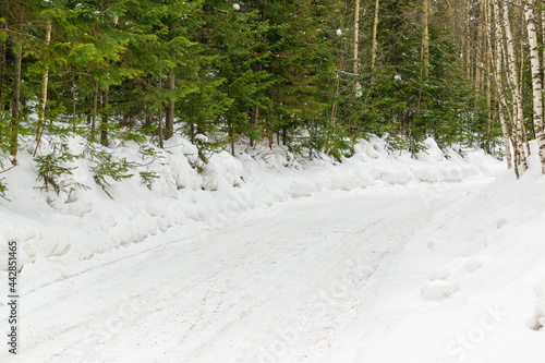 Wallpaper Mural Turn of winter road in forest. Green Christmas trees, white snow. Winter landscape concept. Torontodigital.ca