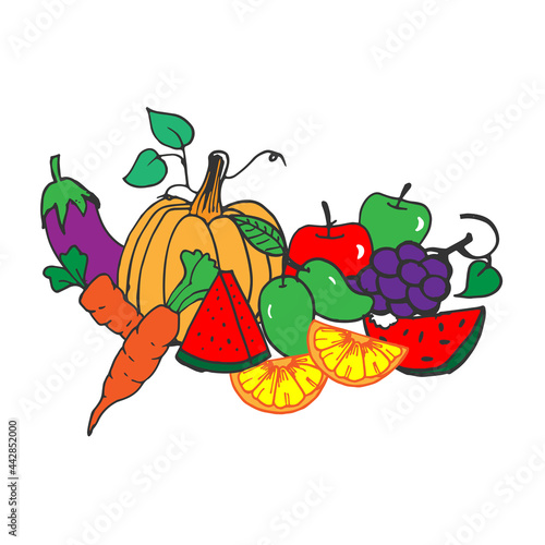 Fototapeta Naklejka Na Ścianę i Meble -  set of fruits and vegetables illustration on white background. hand drawn vector. pumpkin, eggplant, carrot, watermelon, mango, grape, apple and orange. doodle art for wallpaper, poster, clipart,cover