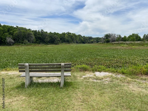 Bench on a Field