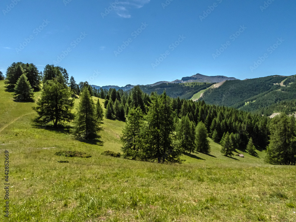 Paysage de montagne dans les Alpes du Sud en France