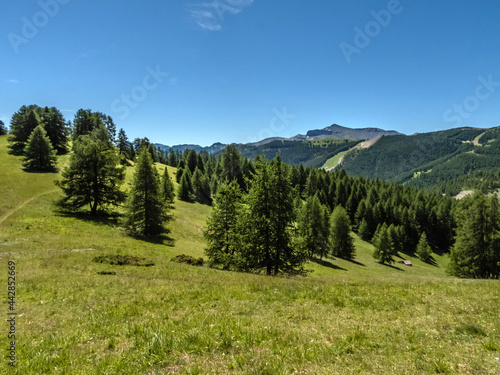 Paysage de montagne dans les Alpes du Sud en France © Bernard