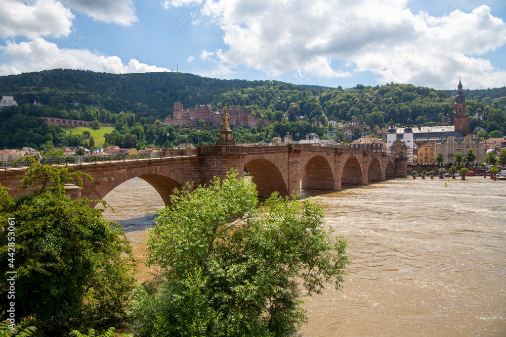 Heidelberg Stadtpanorama: Im Vordergrund die alte Brücke, im Hintergrund das Heidelberger Schloss