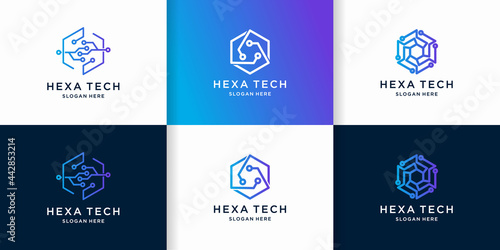 hexagon technology logo with line circuit