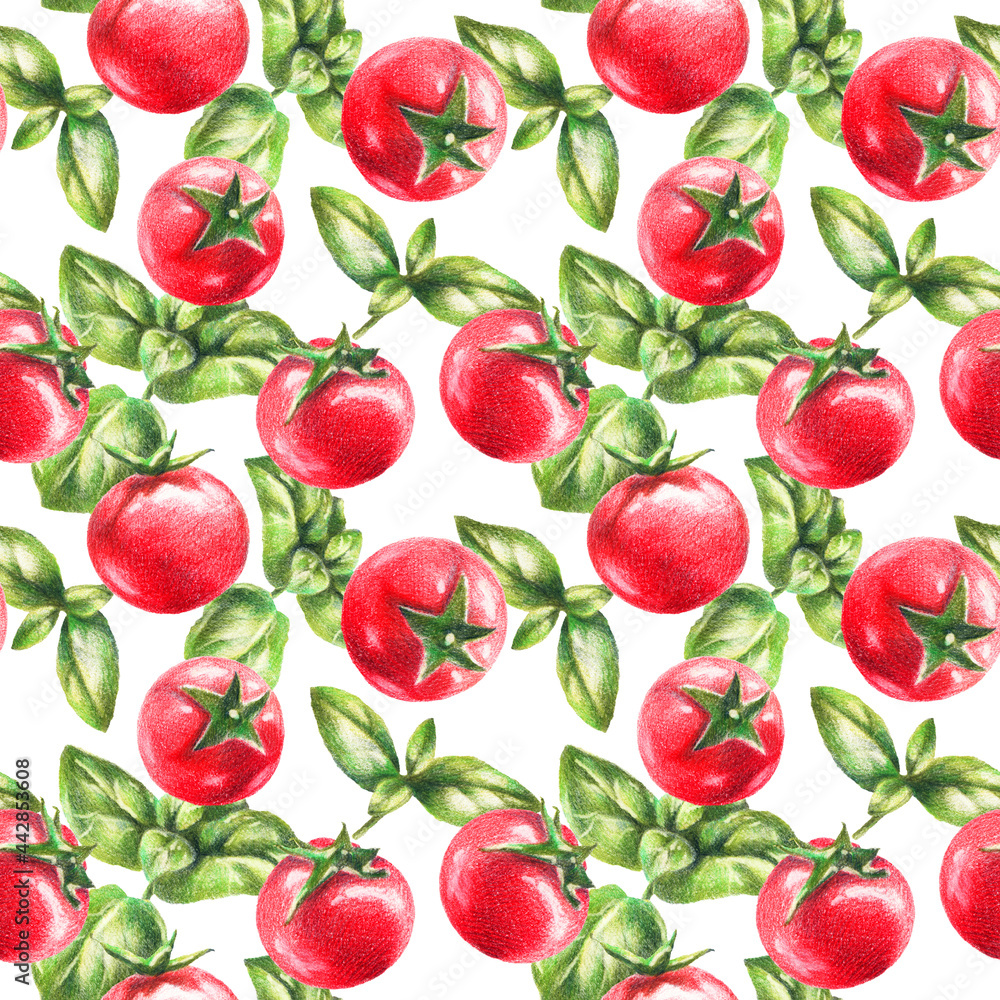 Cherry tomatoes and basil by color pencils Cherry tomatoes and basil by color pencils