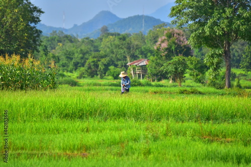 This is Thai framer with her land.