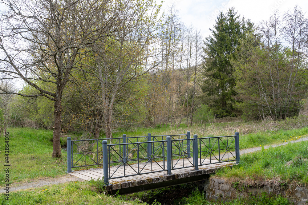 Bridge with green metal railing and wooden floor in the countryside
