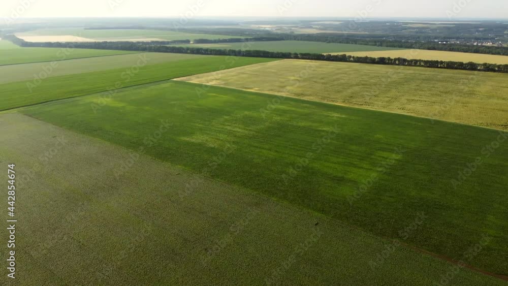Aerial drone view flight over different agricultural fields