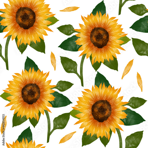 The pattern of a sunflower with leaves, its petals have flown away . Can be used for your design.