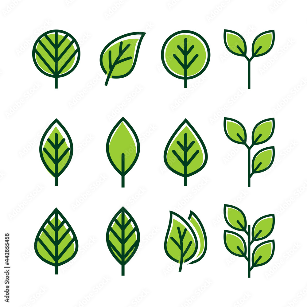 green leaf icons design template vector
green leaf icons design template vector