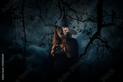 Scary halloween witch standing over dead tree, crow, birds, full moon and spooky cloudy sky, Halloween mystery concept photo