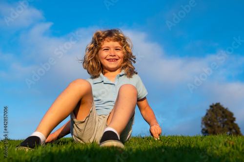 Little boy child with a cute expression face sitting on grass. Cheerful kid having fun on green summer meadow. Children playing on nature.