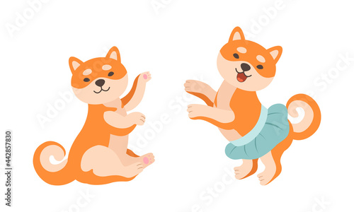Adorable Shiba Inu Dog in Various Poses Set, Akita Inu Puppy Activities Cartoon Vector Illustration