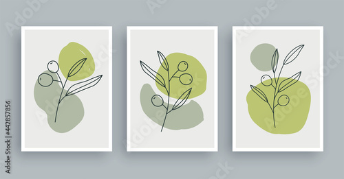 olive branch botanical wall art painting background. Foliage art and hand drawn line with abstract shape. Mid century scandinavian nordic style.