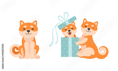 Cute Shiba Inu Dog Activities Set, Adorable Akita Inu Family Cartoon Vector Illustration