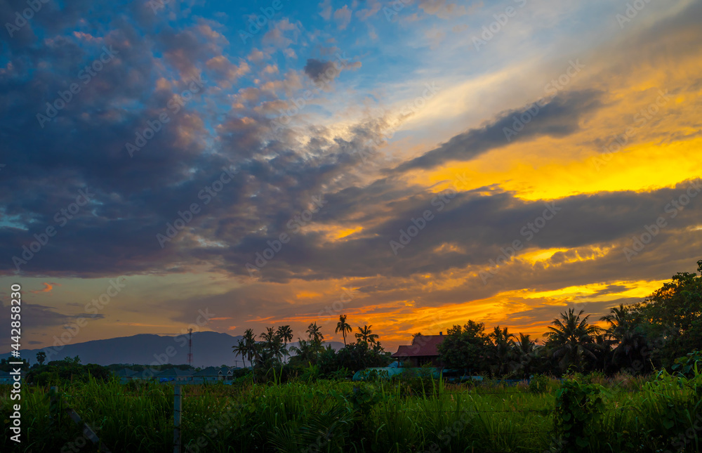 Beautiful sunset and dramatic clouds on the sky, Sunset view over the green grass field. Chiang Mai, Thailand.