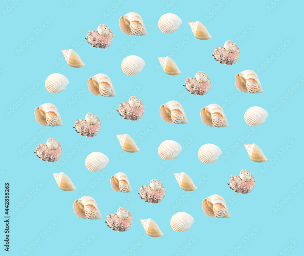Shell pattern in full circle. Minimal concept. Shell pattern in full circle. Minimal concept.
