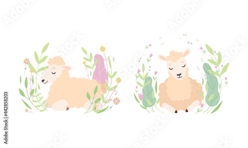 Adorable Little Fluffy Lamb Resting on Nature Set, Cute Baby Sheep Farm Animal in Pastel Colors Cartoon Vector Illustration