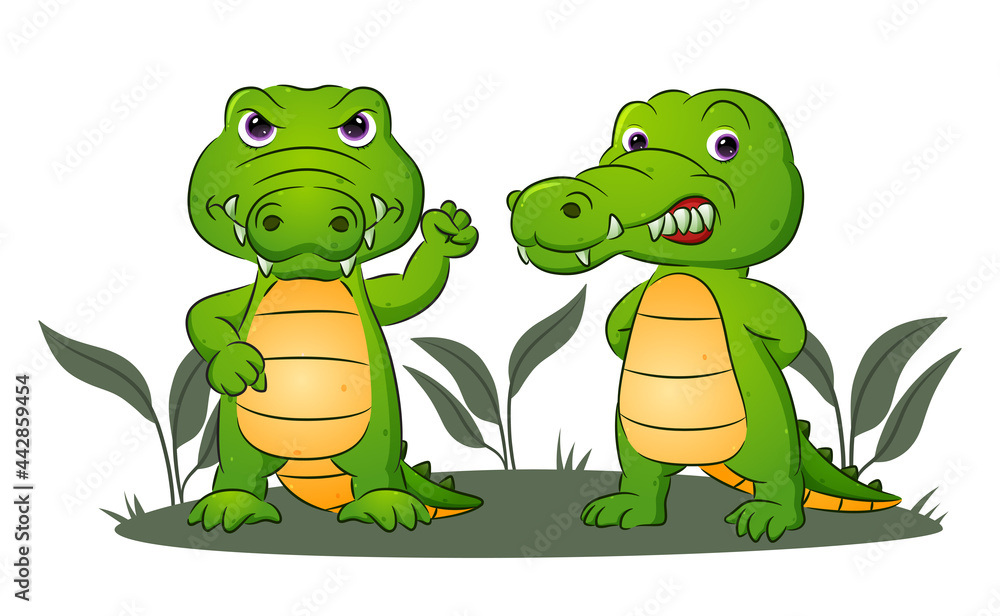 Obraz premium The couple of the crocodiles are giving the angry expression