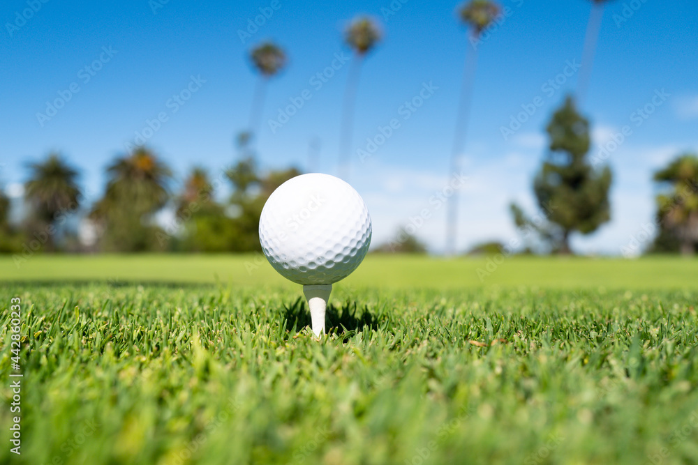 Golf ball in grass. Golf ball is on tee on green grass background. Golf ball in grass. Golf ball is on tee on green grass background.