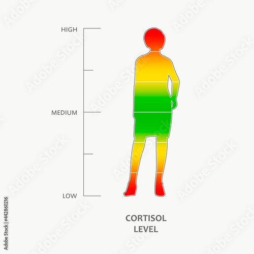 Cortisol level scale and silhouette of woman.