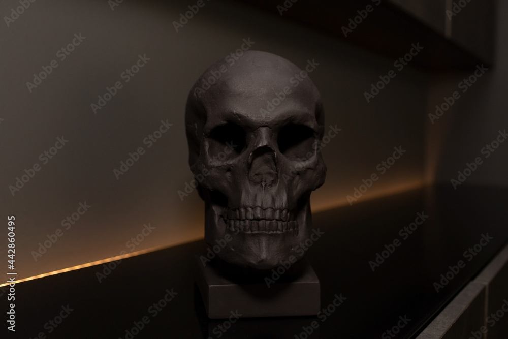 Black skull. Place for text. Bust of the skull. Beautiful home decor for the interior. Copy space. Minimal black Black skull. Place for text. Bust of the skull. Beautiful home decor for the interior. Copy space. Minimal black