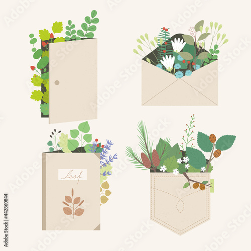 Beautiful plants for decoration on doors, envelopes, books and australia. vector design illustrations.